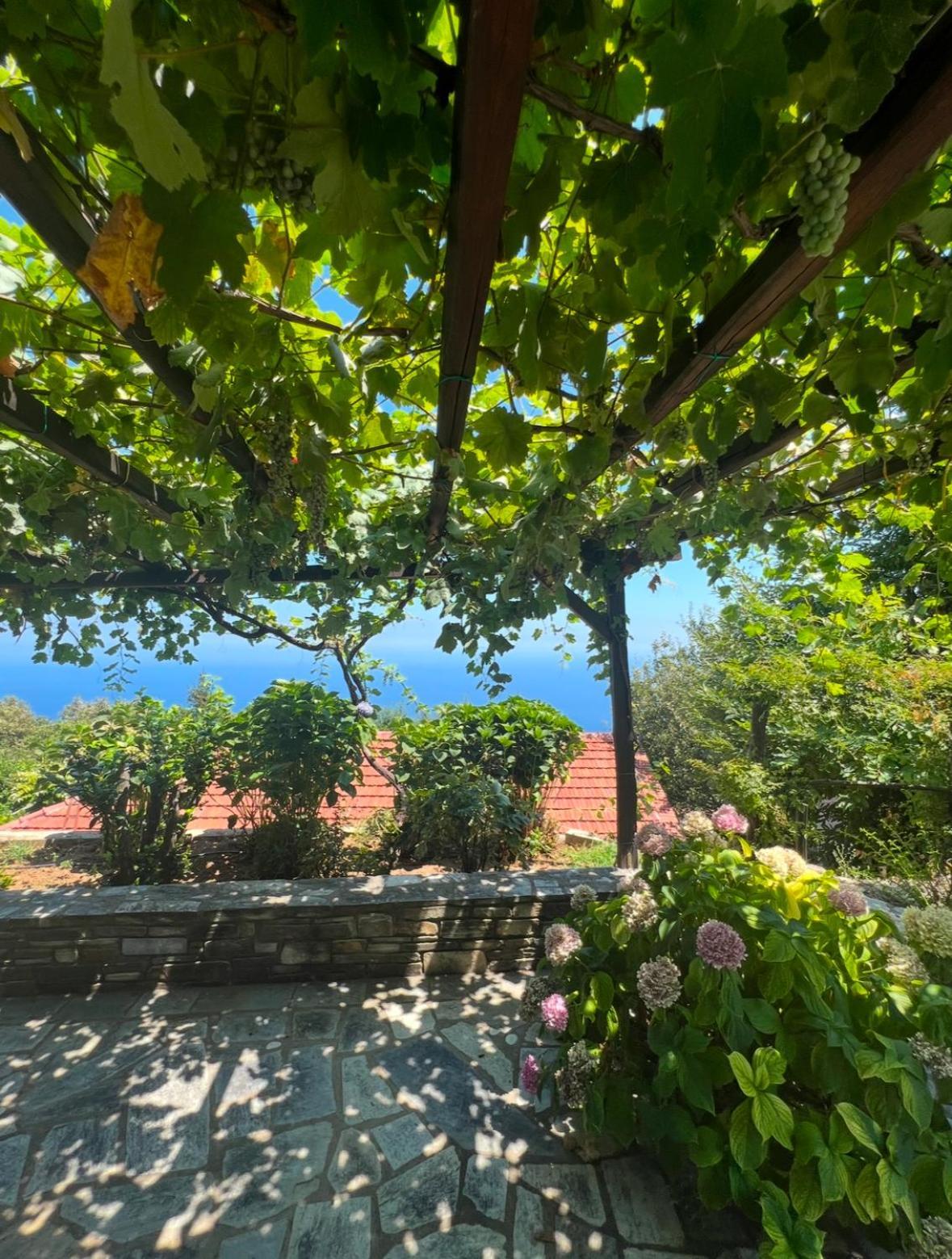 Om Living Pelion Apartamento Áyios Dhimítrios Exterior foto